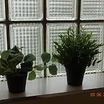 Apartamento Cuentame 公寓 Burgo