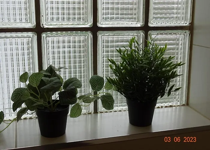 Apartamento Cuentame Appartamento Burgo